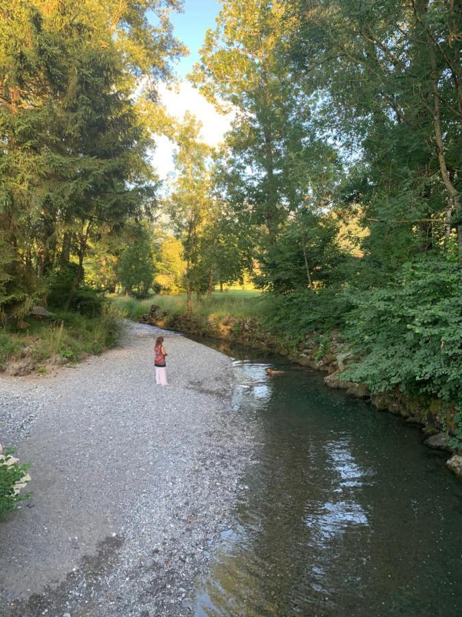 Giez Petit Cocon Entre Lac, Golf Et Montagne, Proche D'Annecy מראה חיצוני תמונה